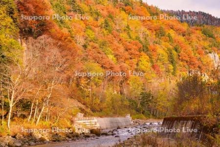 天人峡と忠別川