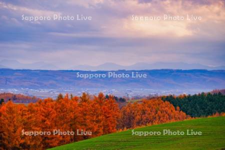 千望峠より十勝岳連峰