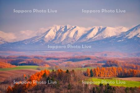 深山峠より十勝岳連峰