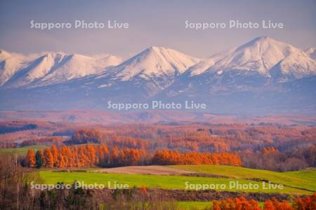 深山峠より十勝岳連峰