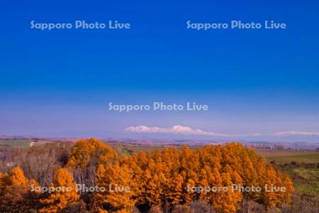就実の丘より大雪山