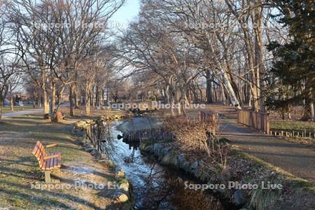 朝のサーモン川