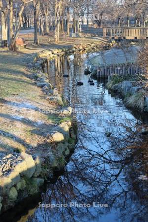 朝のサーモン川