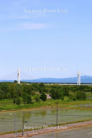 水田とたっぷ大橋