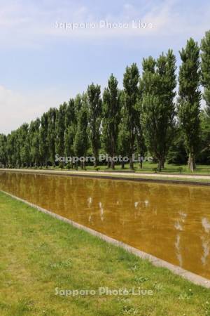 前田森林公園　カナール
