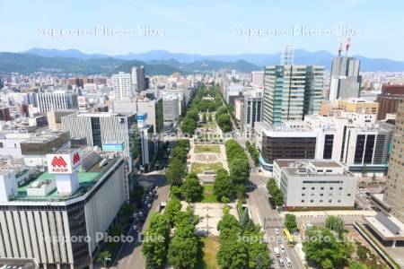 テレビ塔より大通公園
