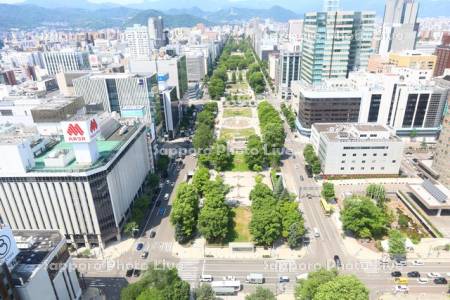 テレビ塔より大通公園