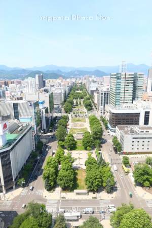 テレビ塔より大通公園