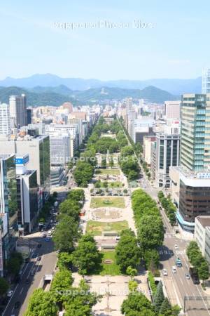 テレビ塔より大通公園
