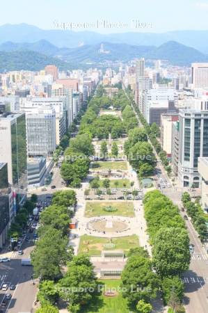 テレビ塔より大通公園