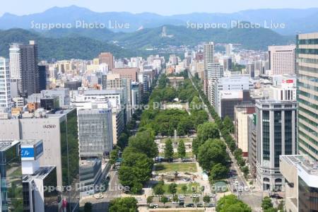 テレビ塔より大通公園