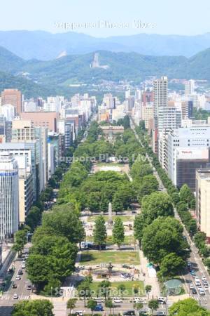 テレビ塔より大通公園