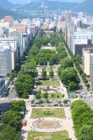 テレビ塔より大通公園