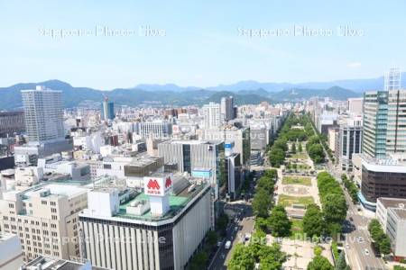 テレビ塔より大通公園