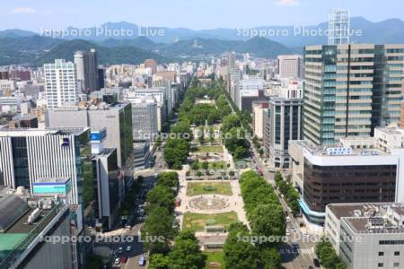 テレビ塔より大通公園