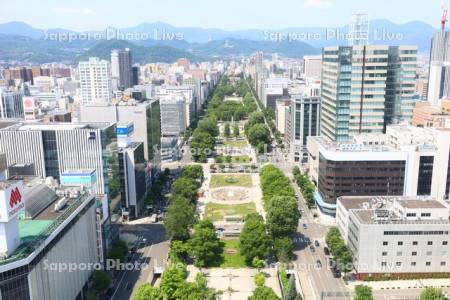 テレビ塔より大通公園