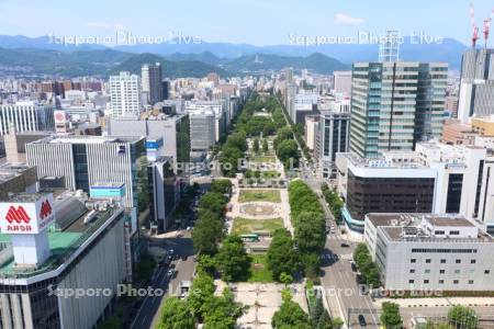 テレビ塔より大通公園