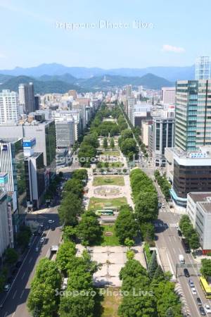 テレビ塔より大通公園
