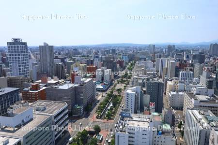 テレビ塔より創成川公園