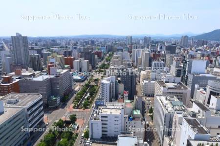 テレビ塔より創成川公園