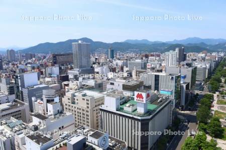 テレビ塔より藻岩山方面