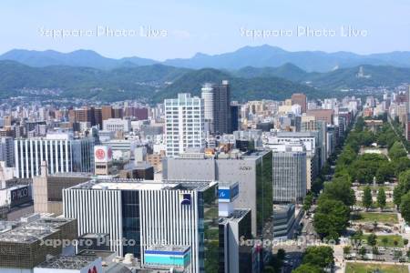 テレビ塔より円山方面