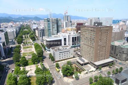 テレビ塔より札幌市役所