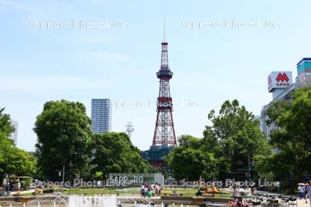 大通公園とテレビ塔