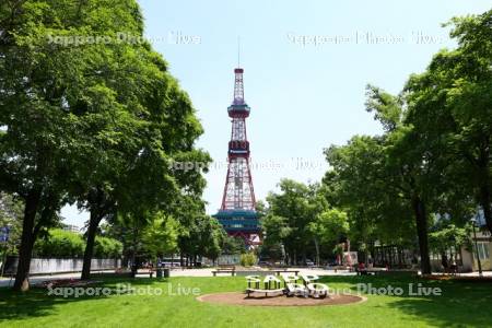 大通公園とテレビ塔