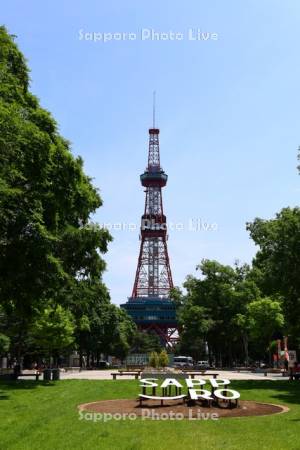 大通公園とテレビ塔