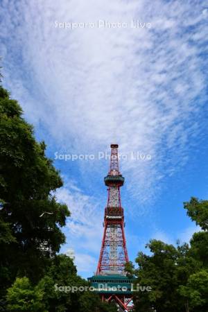 大通公園とテレビ塔