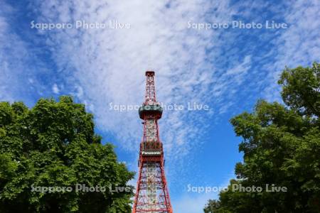 大通公園とテレビ塔