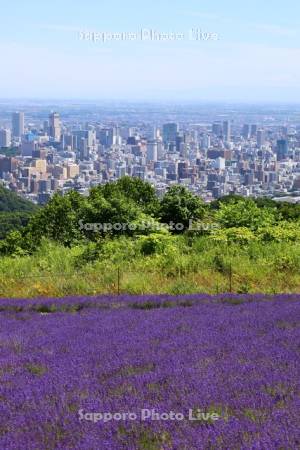 幌見峠ラベンダー園より市街展望