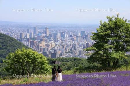 幌見峠ラベンダー園　市街展望