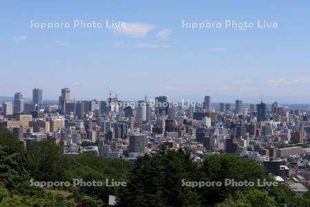旭山記念公園　市街展望