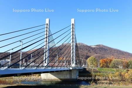 ミュンヘン大橋と藻岩山