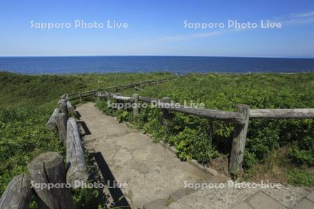小清水原生花園
