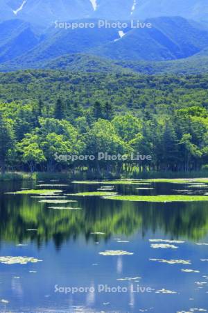 知床五湖　一湖